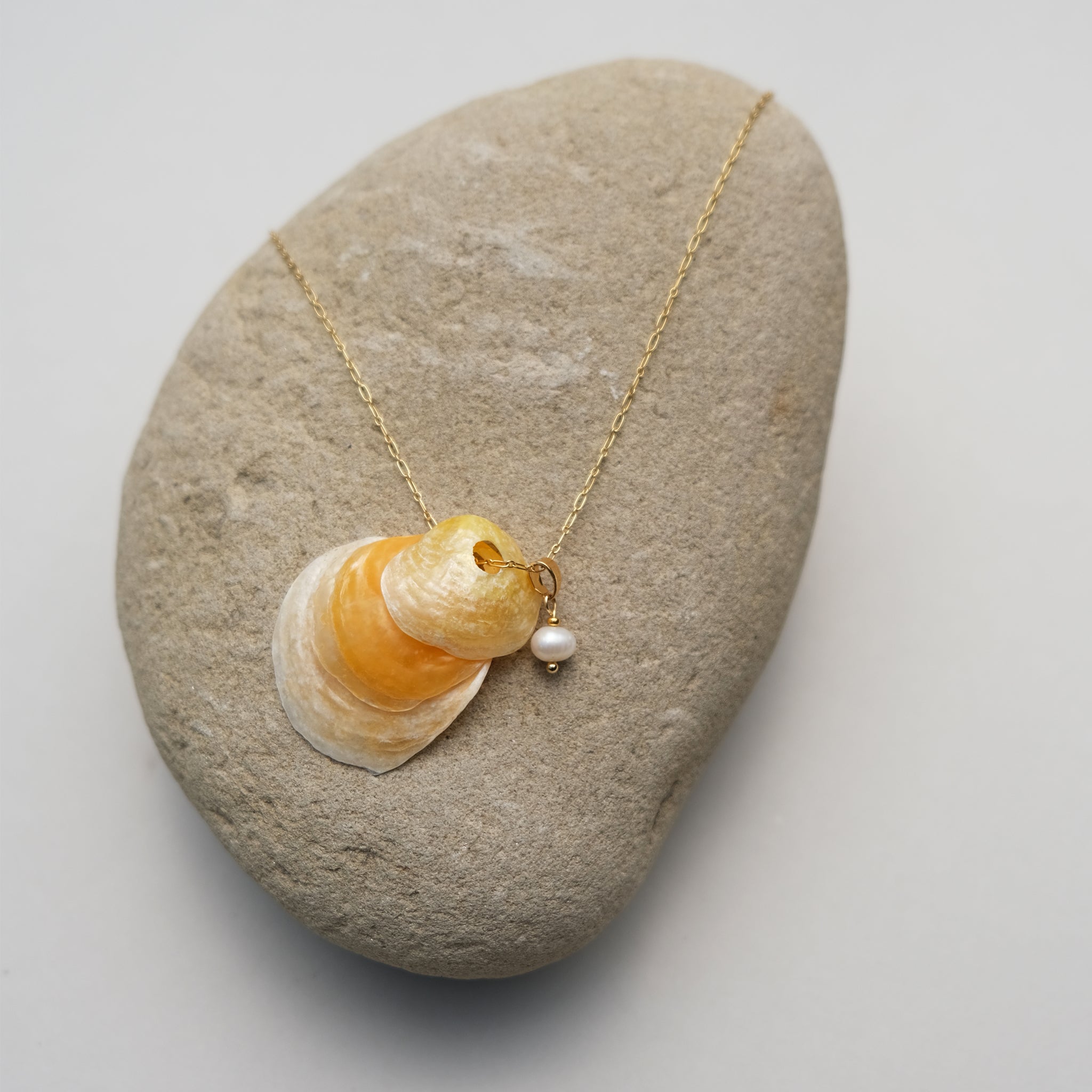 The Belle Shell
