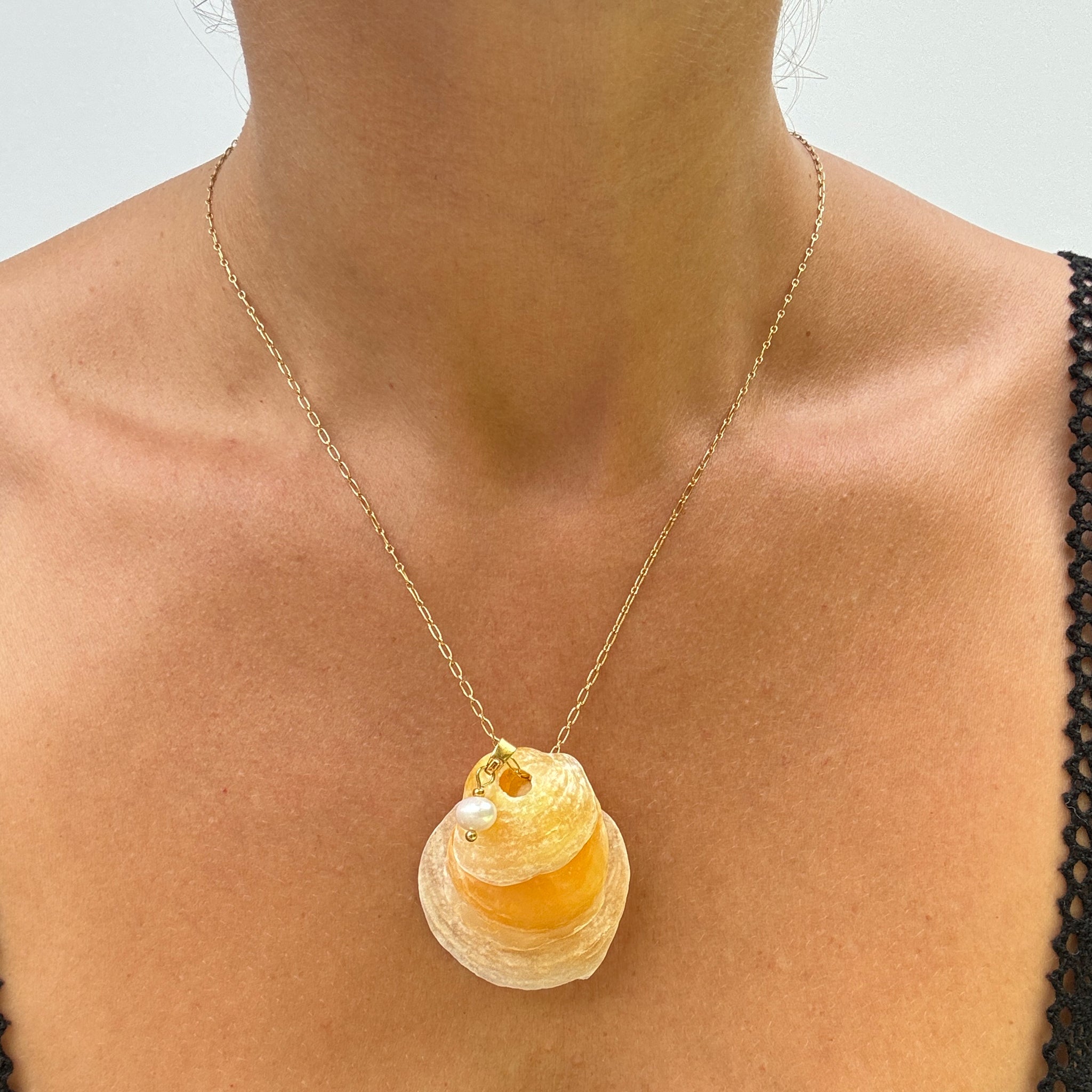 The Belle Shell